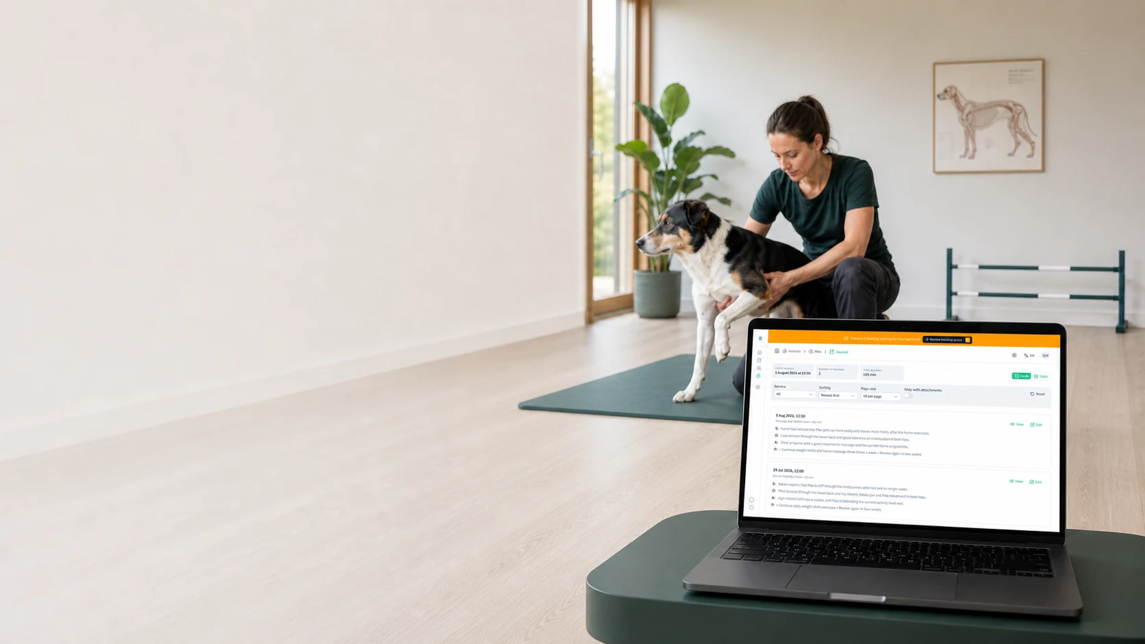 PawNote animal record on a laptop while a canine therapist assesses a dog on a treatment mat